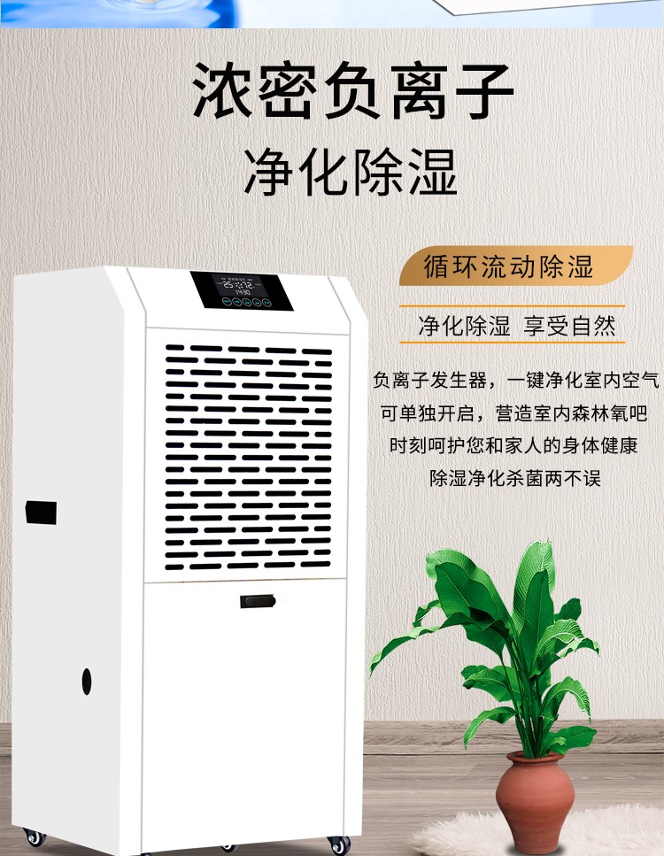 风暴娱乐 d4bef