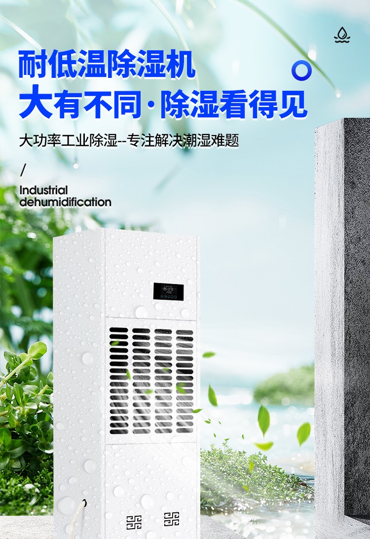风暴娱乐 ce384